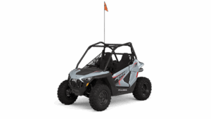RZR 200 EFI